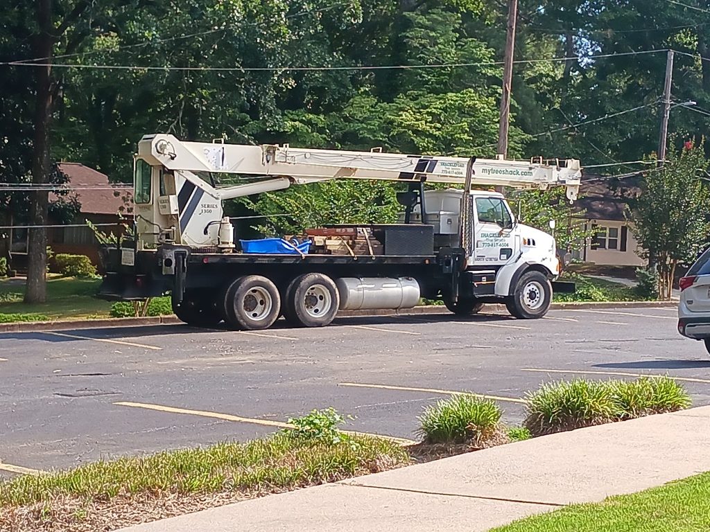 Shackleford Tree Service (17)