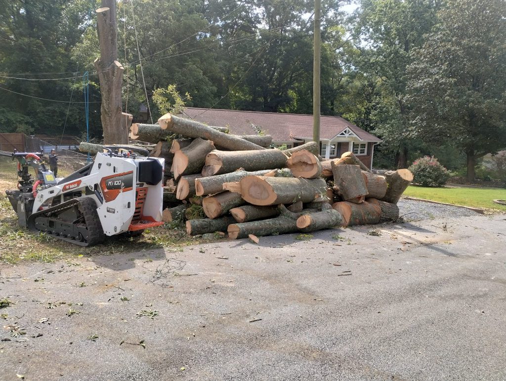 Shackleford Tree Service (22)