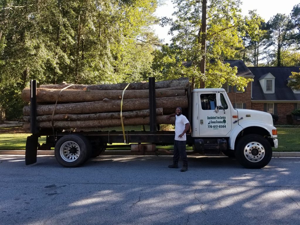 Shackleford Tree Service (23)
