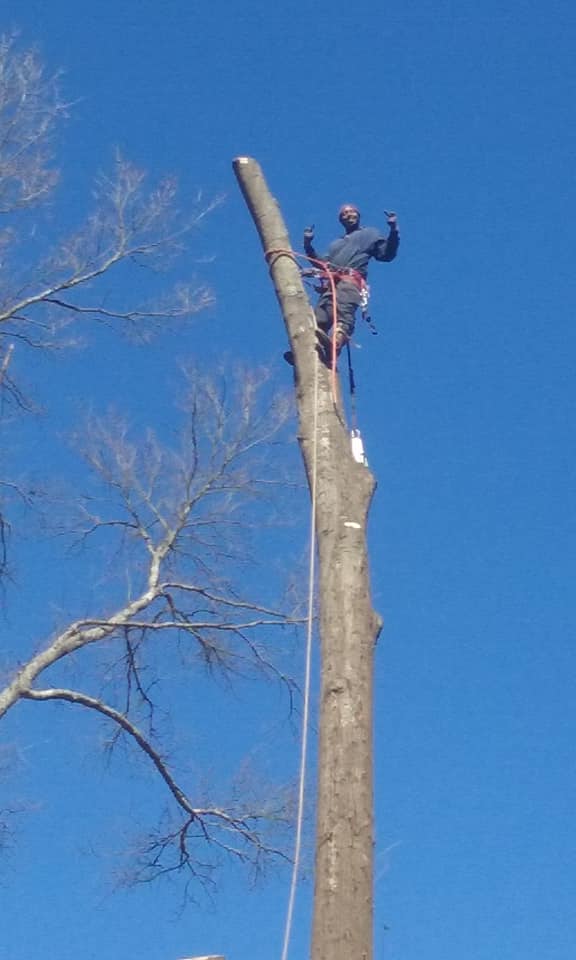 Shackleford Tree Service (24)