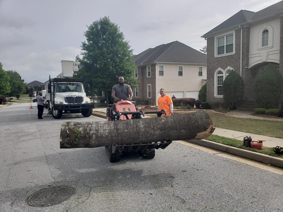 Shackleford Tree Service (3)