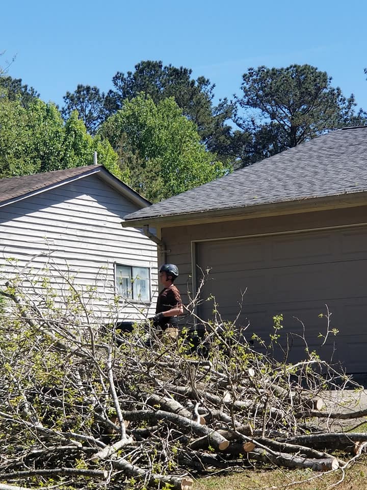 Shackleford Tree Service (5)