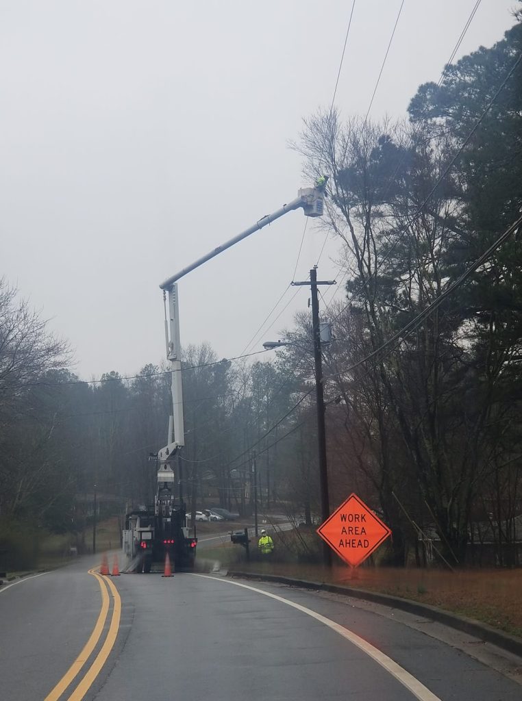 Shackleford Tree Service (7)