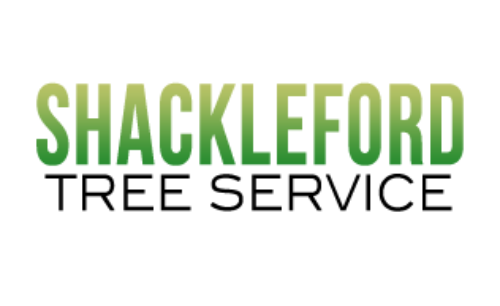 Shackleford Tree Service